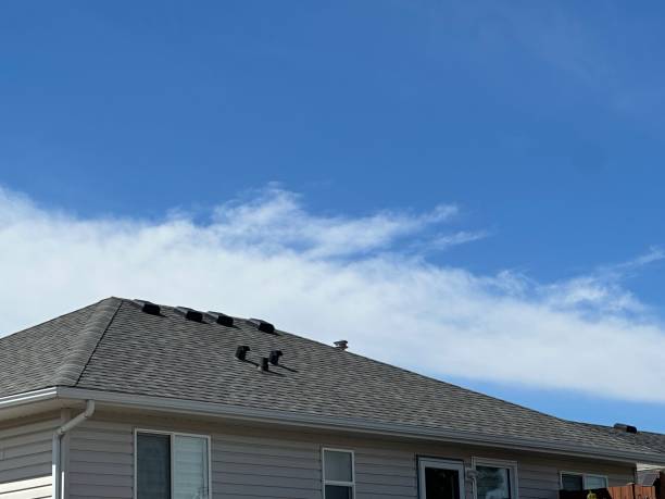 Best Tile Roofing Installation  in Seneca Knolls, NY